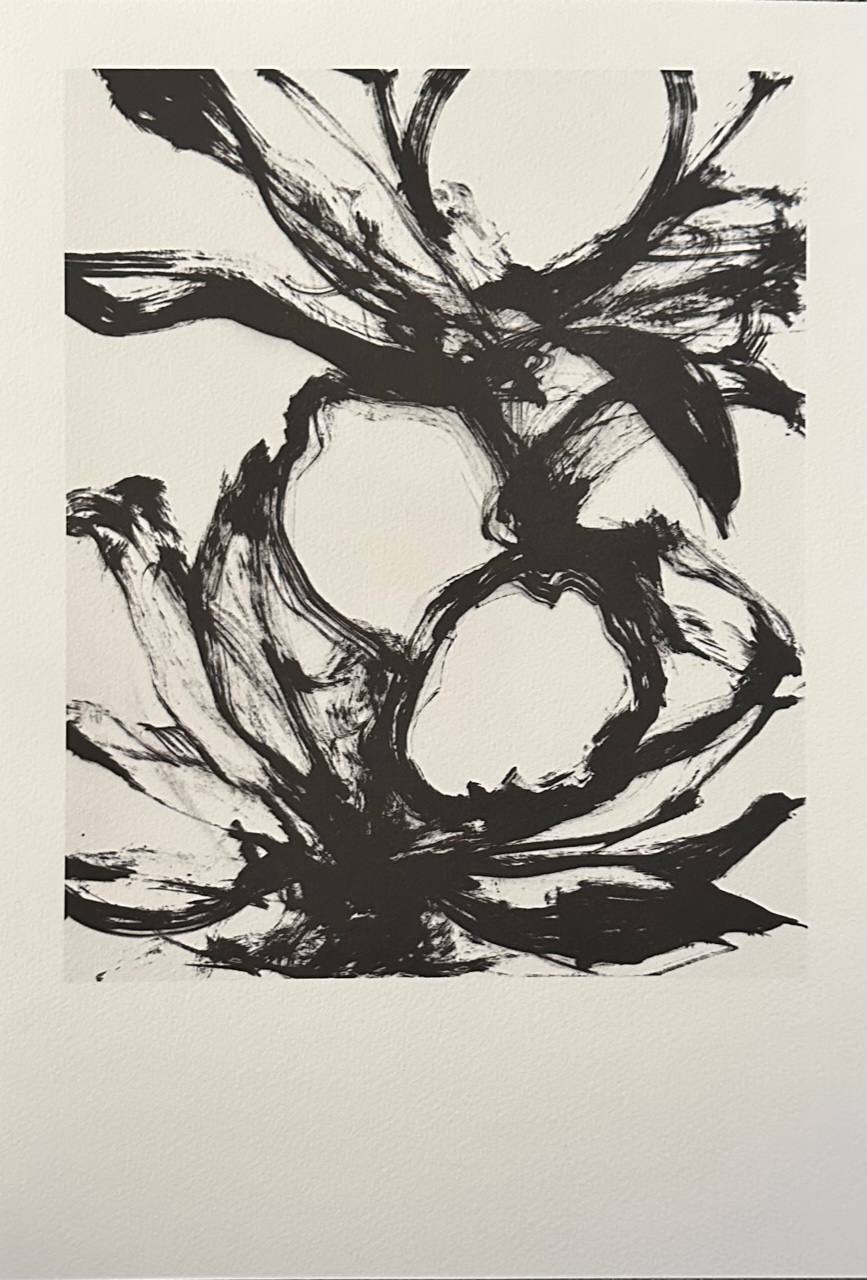 Fruits - Oppenheim Yves – Image 1