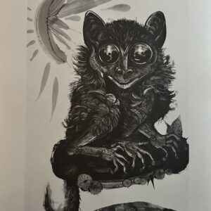 Lemurien avec les Yeux Qui Brillent - Pierre-Yves Trémois
