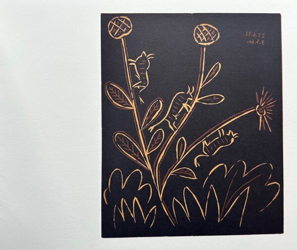 Plante aux Toritos - Pablo Picasso