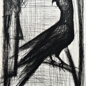 Le Perroquet - Bernard Buffet
