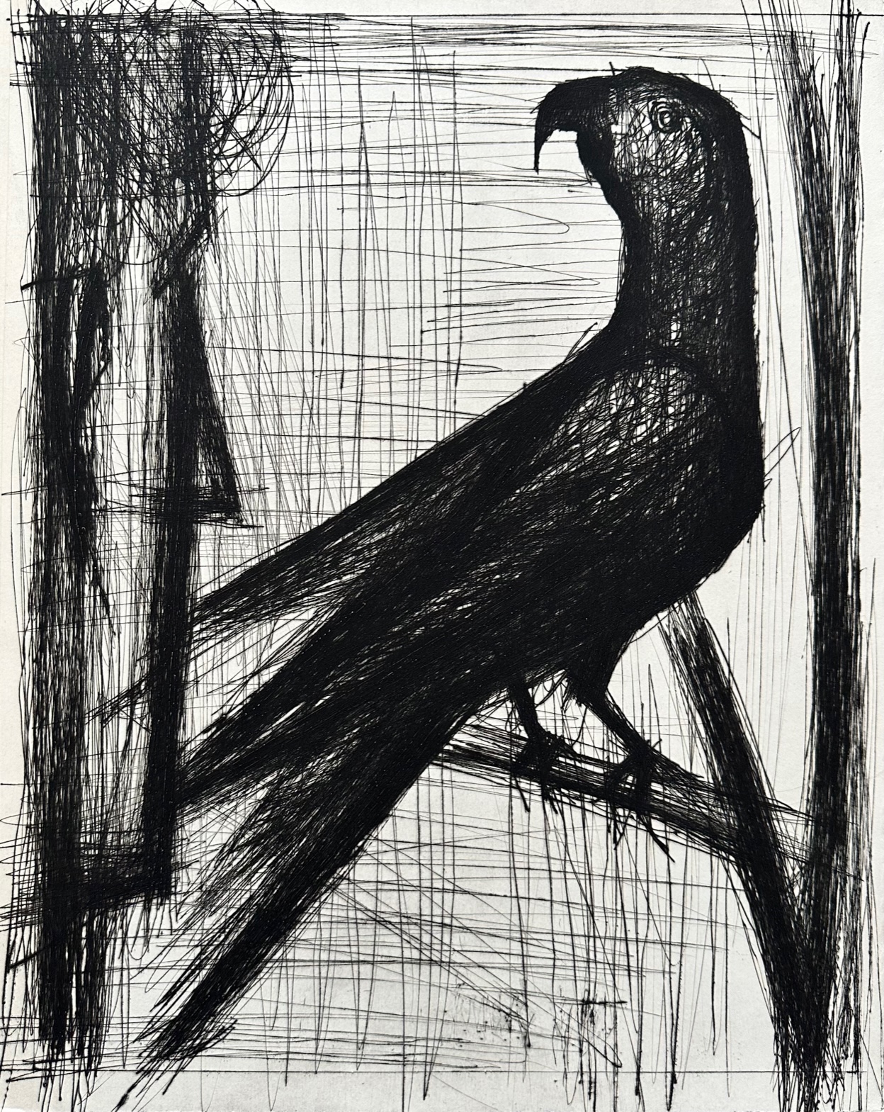 Le Perroquet - Bernard Buffet – Image 1
