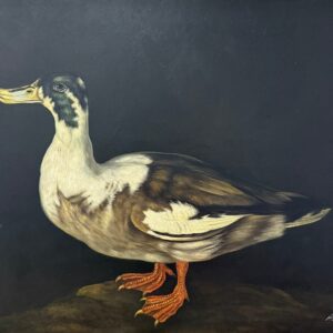 Canard Blanc sur Fond Sombre - 20E Eeuw Ecole Moderne