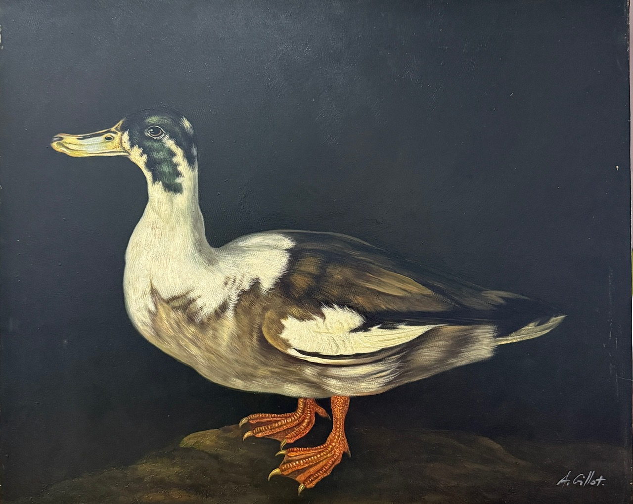 Canard Blanc sur Fond Sombre - 20E Eeuw Ecole Moderne – Image 1