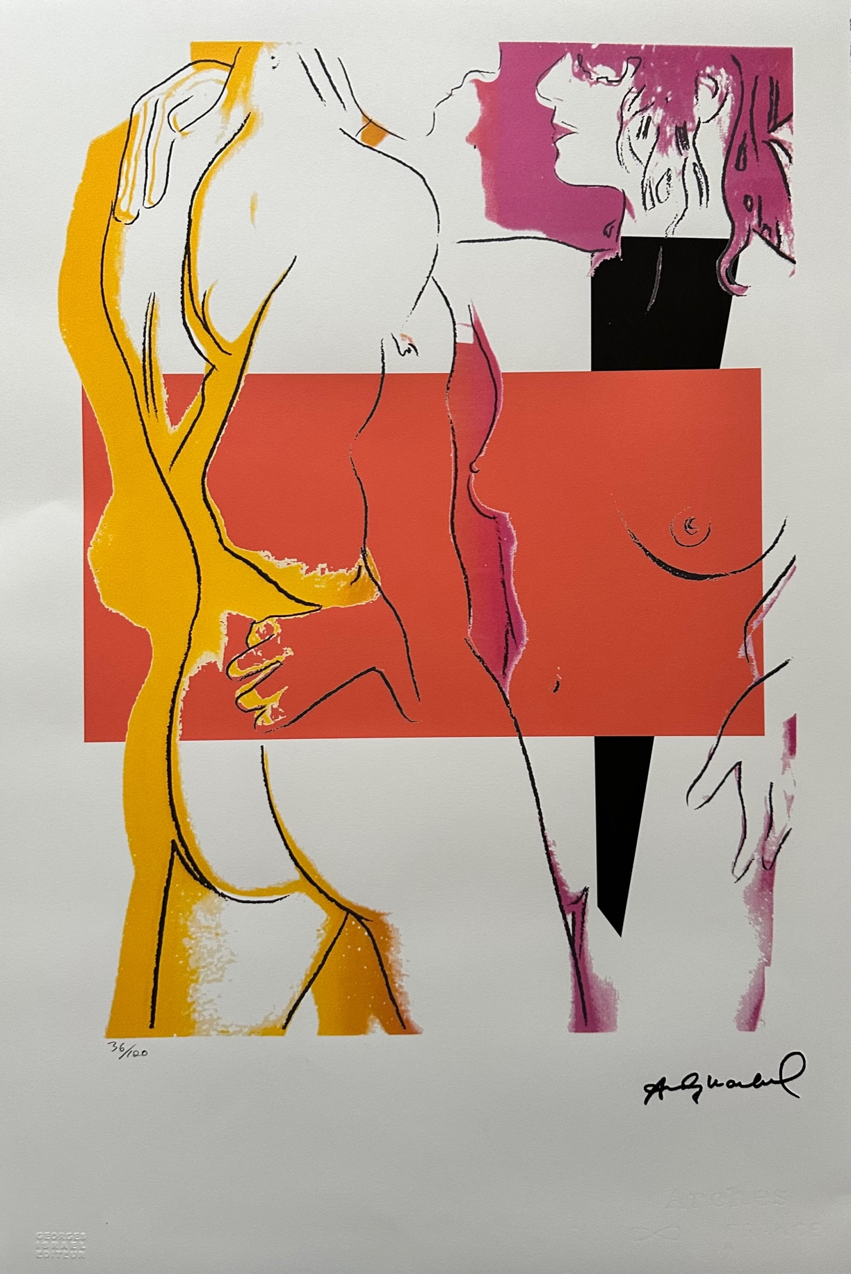 Nus - Andy Warhol – Image 1