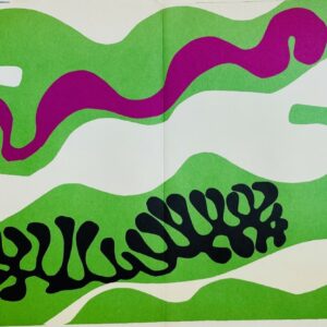 Henri Matisse - Lithographie