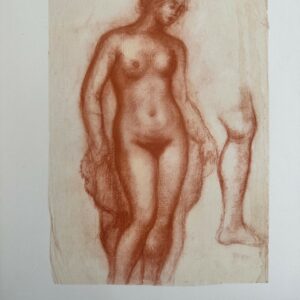 Etude pour une Baigneuse , Vue de Face - Maillol Aristide