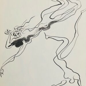 La Chute - Louis Leygue