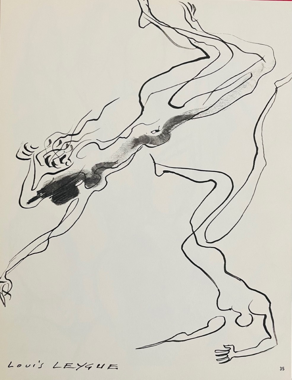 La Chute - Louis Leygue – Image 1