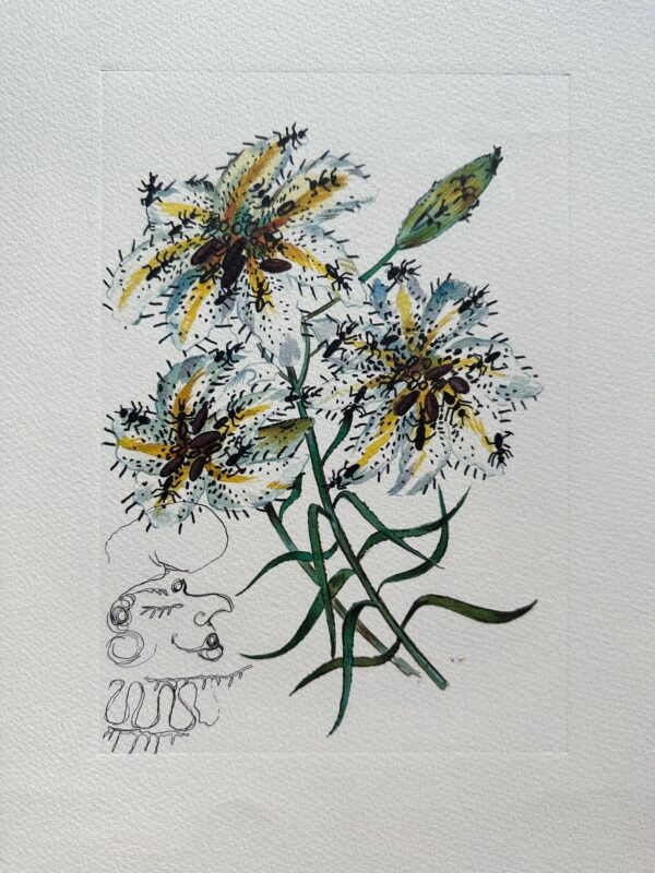 Fleurs Surrealistes 1972 - Salvador Dali
