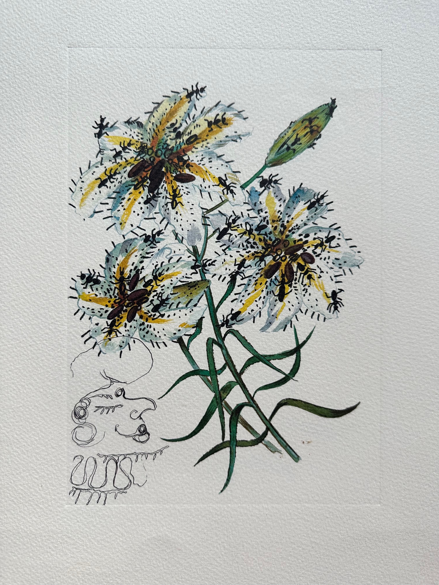 Fleurs Surrealistes 1972 - Salvador Dali – Image 1
