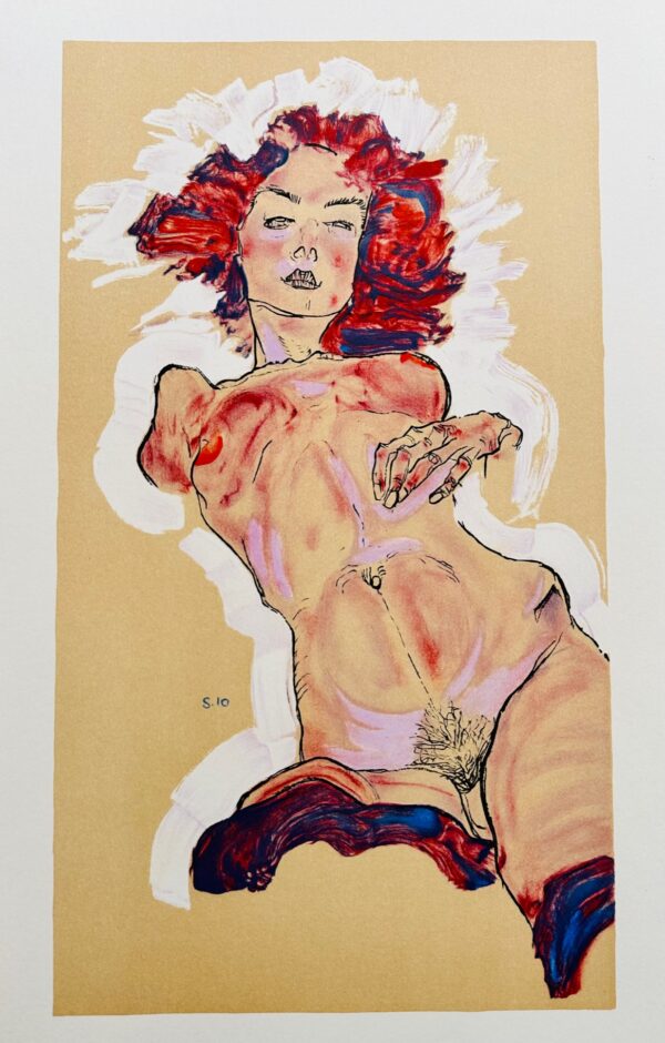 Nu Feminin Allonge - Egon Schiele
