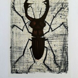 Bl Serie 44 - Lucane - Bernard Buffet