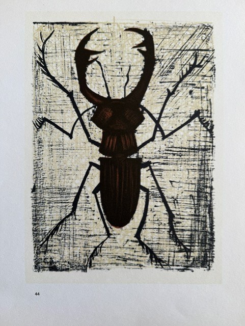 Bl Serie 44 - Lucane - Bernard Buffet