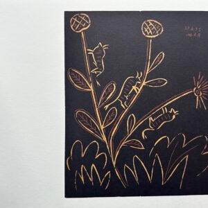 Plante aux Toritos - Pablo Picasso