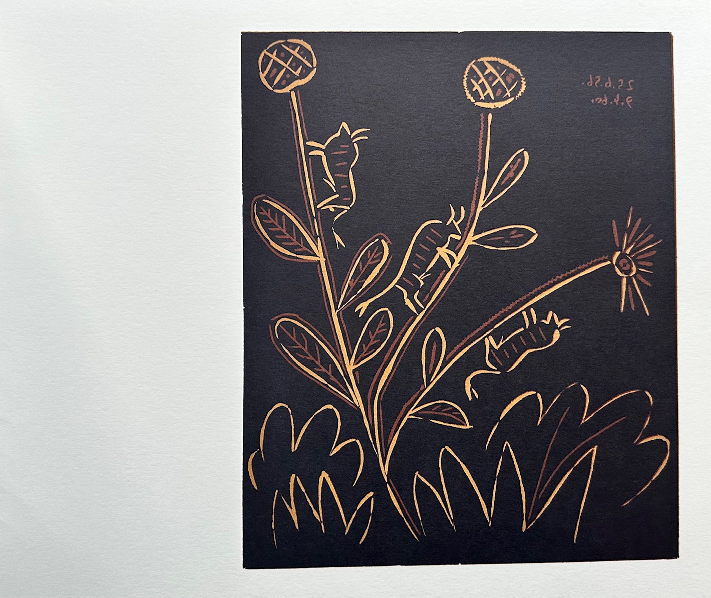 Plante aux Toritos - Pablo Picasso – Image 1