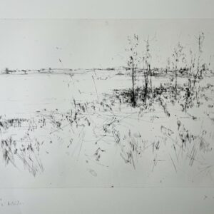 Paysage - Yves Commère