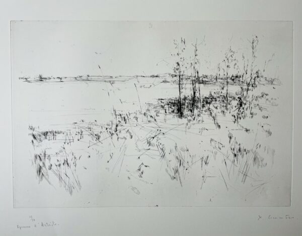 Paysage - Yves Commère