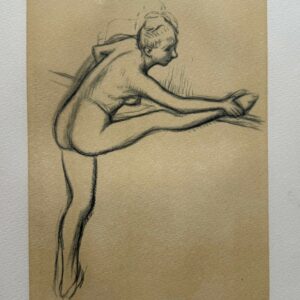Souplesse de la Ballerine - Edgar Degas