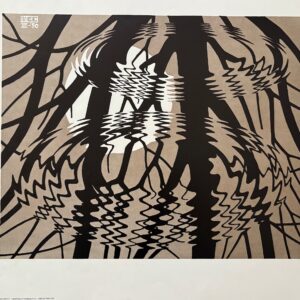 Cercles dans L’eau - Maurits Cornelis Escher