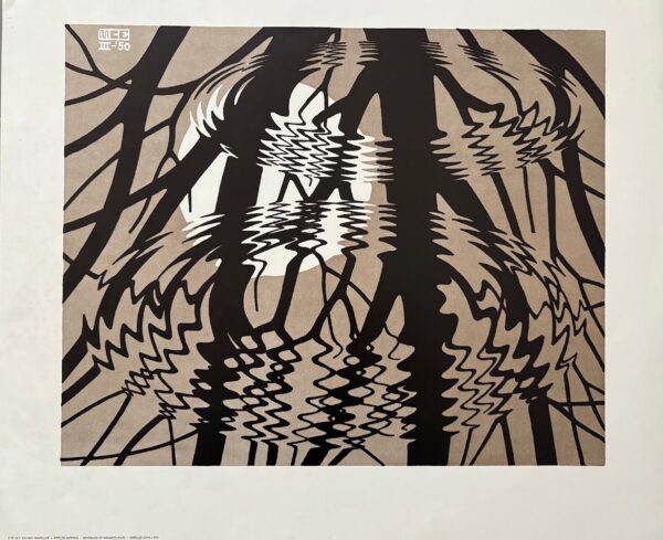 Cercles dans L’eau - Maurits Cornelis Escher