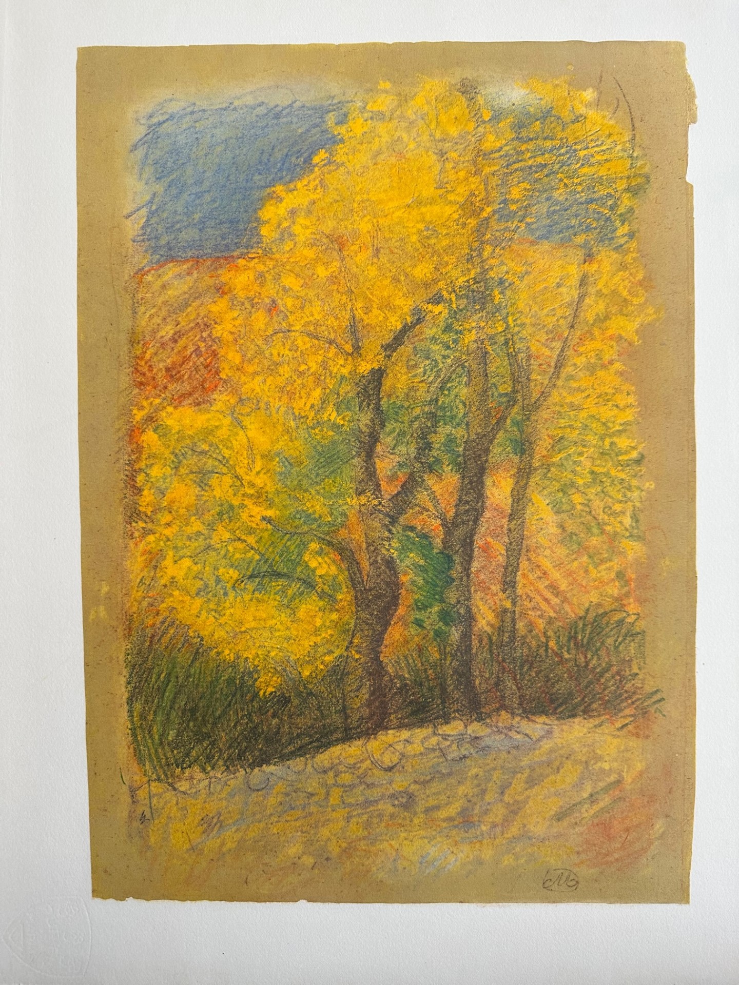 Paysage D