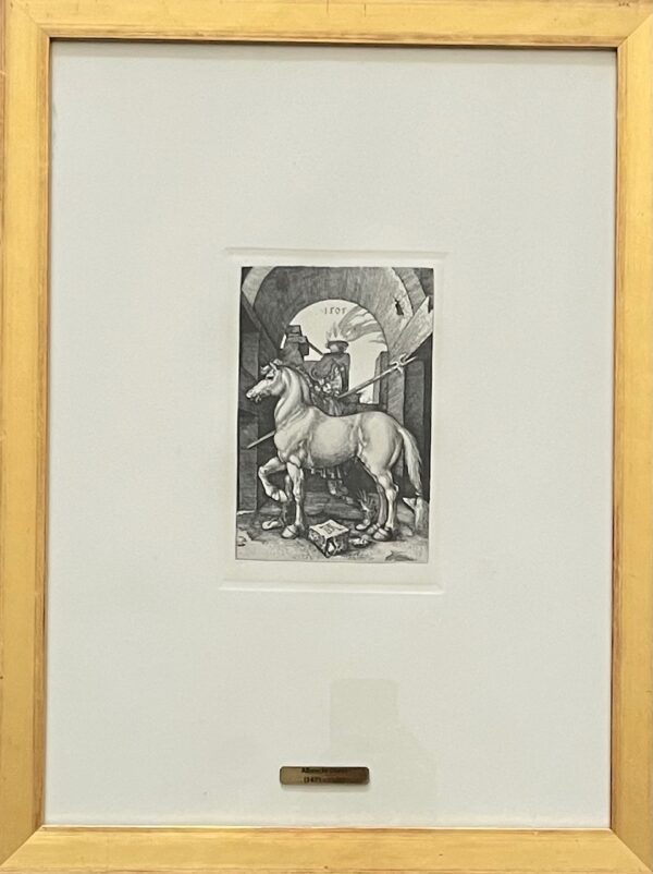 Le Petit Cheval - Albrecht Dürer