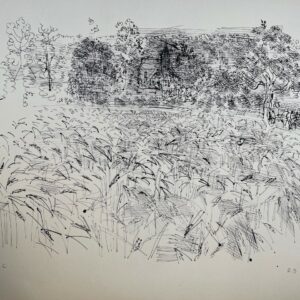 Champ de Seigle - Raoul Dufy