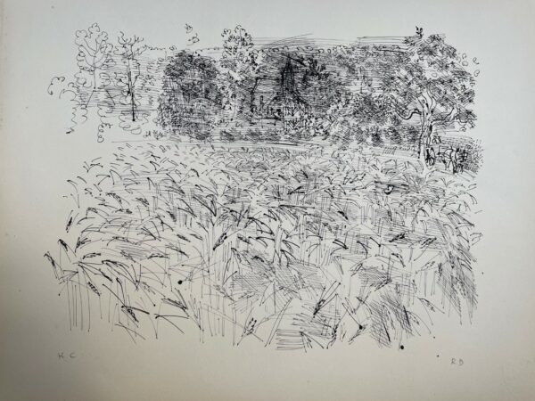 Champ de Seigle - Raoul Dufy