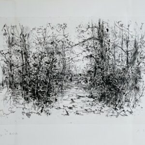 L'entree de la Foret - Yves Commere
