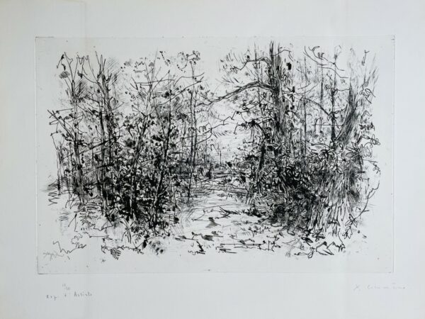 L'entree de la Foret - Yves Commere