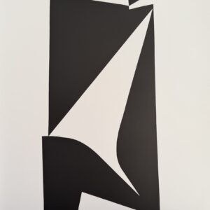 Burkk - Victor Vasarely