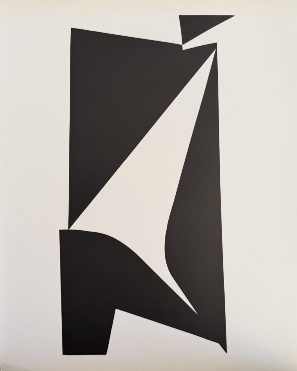 Burkk - Victor Vasarely