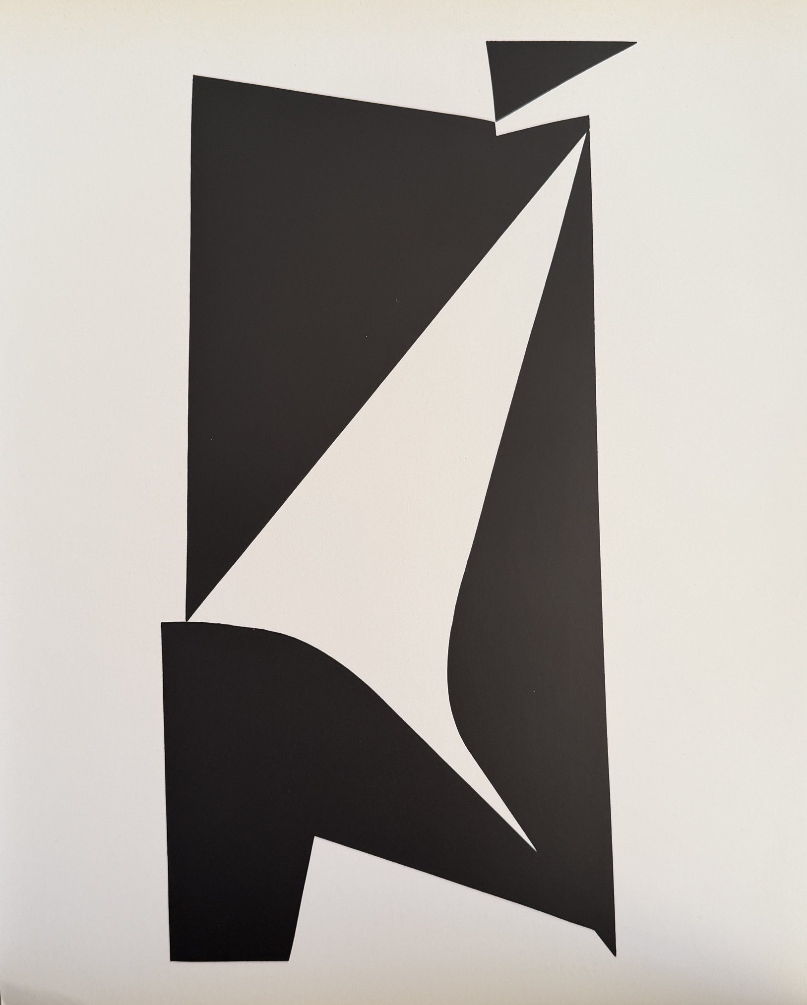 Burkk - Victor Vasarely – Image 1