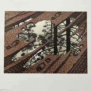 Flaque D'eau - Maurits Cornelis Escher