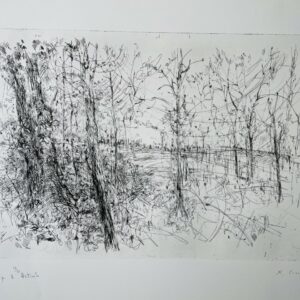 Le Bois - Yves Commere