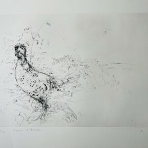Le Faisan - Yves Commère