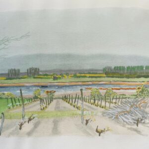 Vignes de France - Brianchon Maurice