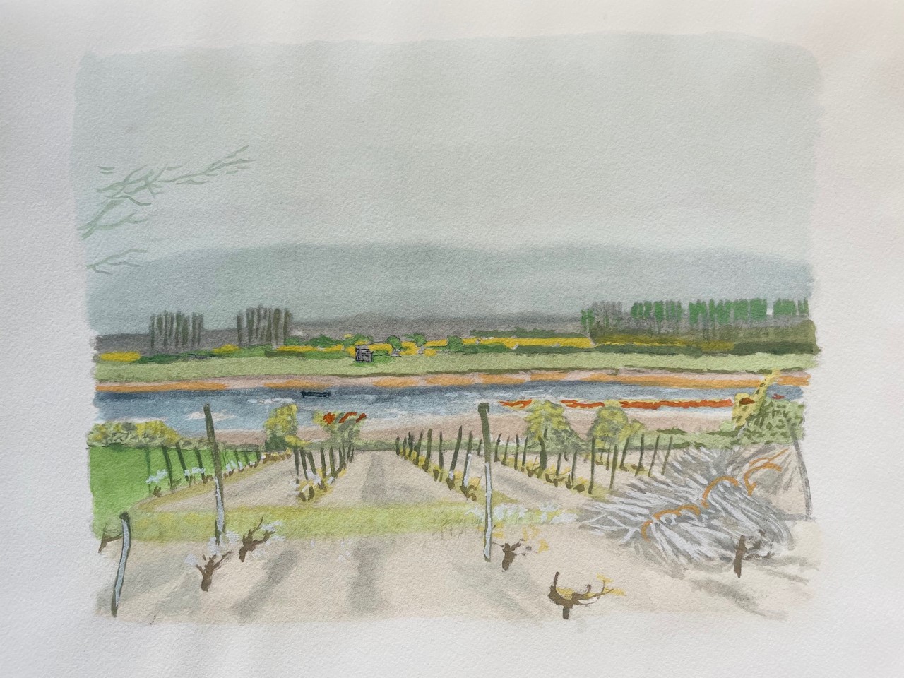 Vignes de France - Brianchon Maurice – Image 1