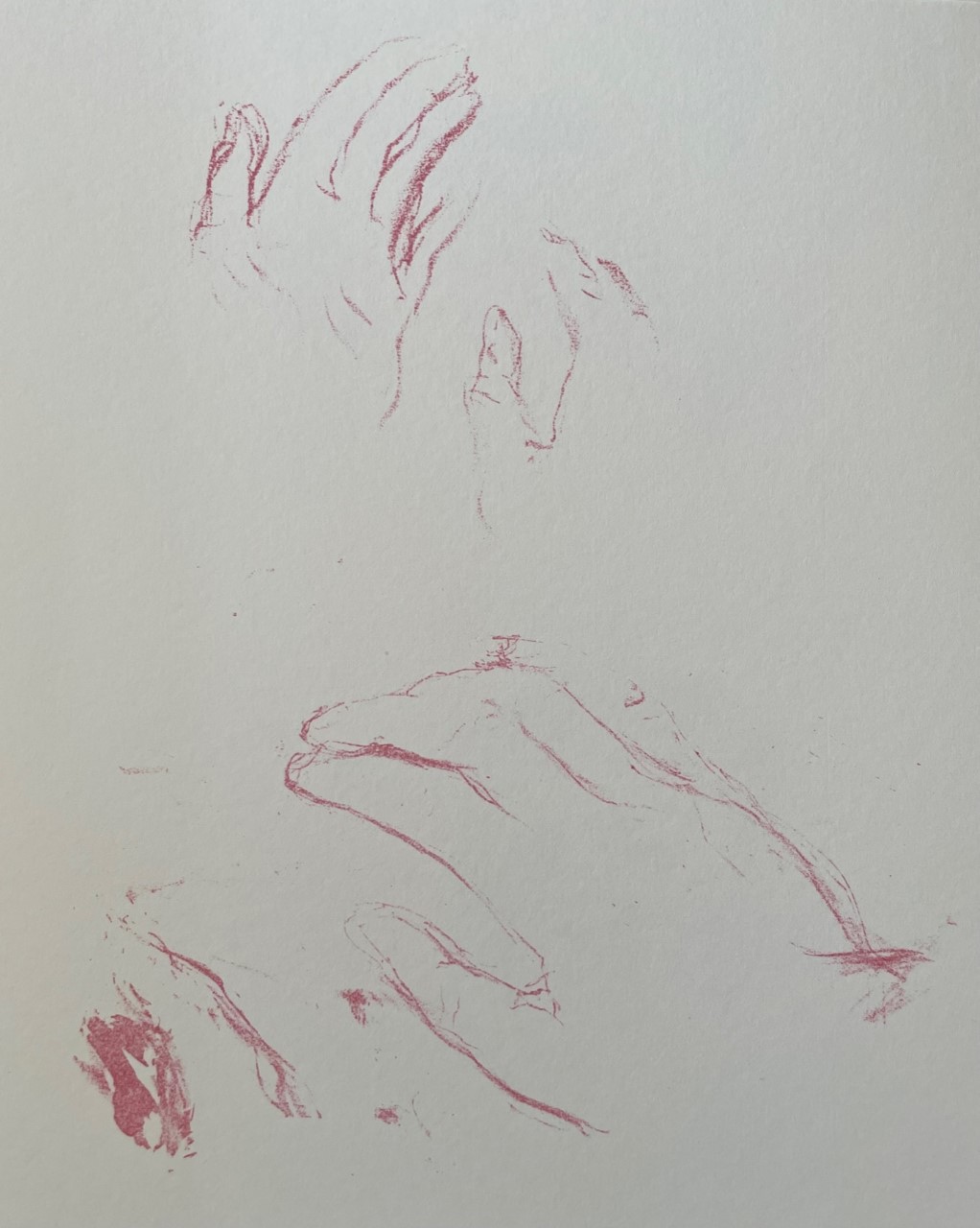 Mains - Pierre Bonnard – Image 1