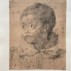 Jeune Garcon - Annibale Carracci