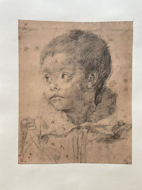 Jeune Garcon - Annibale Carracci