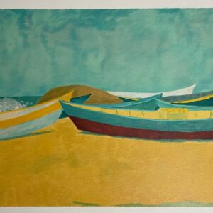 Les Braques en Couleurs - Pierre Boncompain