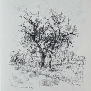 Les Baux de Provence - Michel Ciry