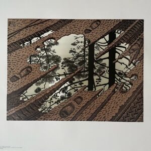 Flaque D'eau - Maurits Cornelis Escher