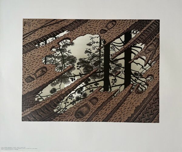 Flaque D'eau - Maurits Cornelis Escher
