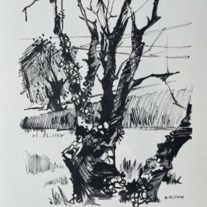 Un Viel Arbre - Plisson Henry