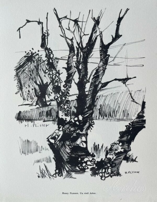Un Viel Arbre - Plisson Henry