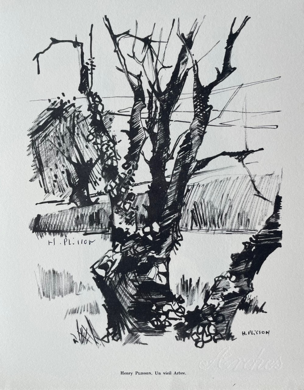 Un Viel Arbre - Plisson Henry – Image 1