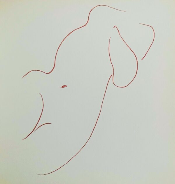 Nu - Henri Matisse