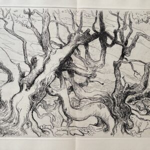Langage des Arbres - Edouard Pignon
